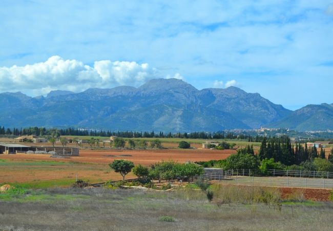 Alquiler de villa en Mallorca Alquiler de villa en Mallorca