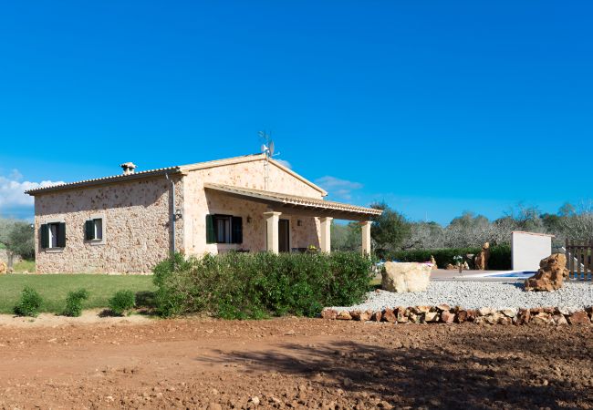 Finca en Sineu - 155 Finca Son Rossignol VT/103965 by Mallorca Char Finca en Sineu - 155 Finca Son Rossignol VT/103965 by Mallorca Char