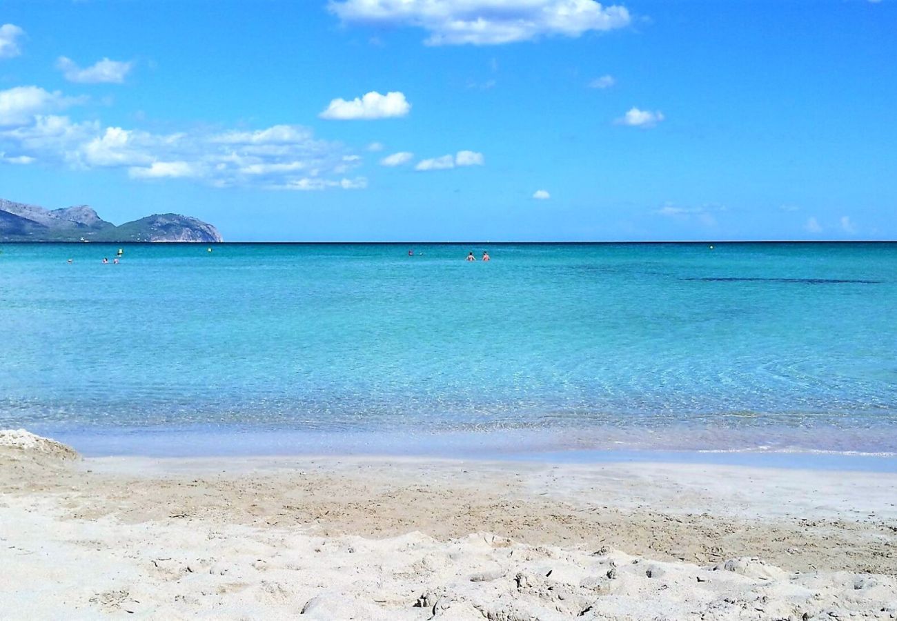 Chalet en Can Picafort - 159 Casa Alba ETV/9785 by Mallorca Charme Chalet en Can Picafort - 159 Casa Alba ETV/9785 by Mallorca Charme