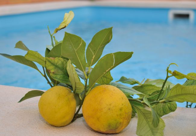 Casa en Santa Margalida - 213 Casa Can Cantino ETV/5779 by Mallorca Charme Casa en Santa Margalida - 213 Casa Can Cantino ETV/5779 by Mallorca Charme