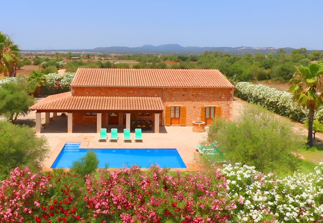Finca con piscina para el alquiler en Mallorca Finca con piscina para el alquiler en Mallorca
