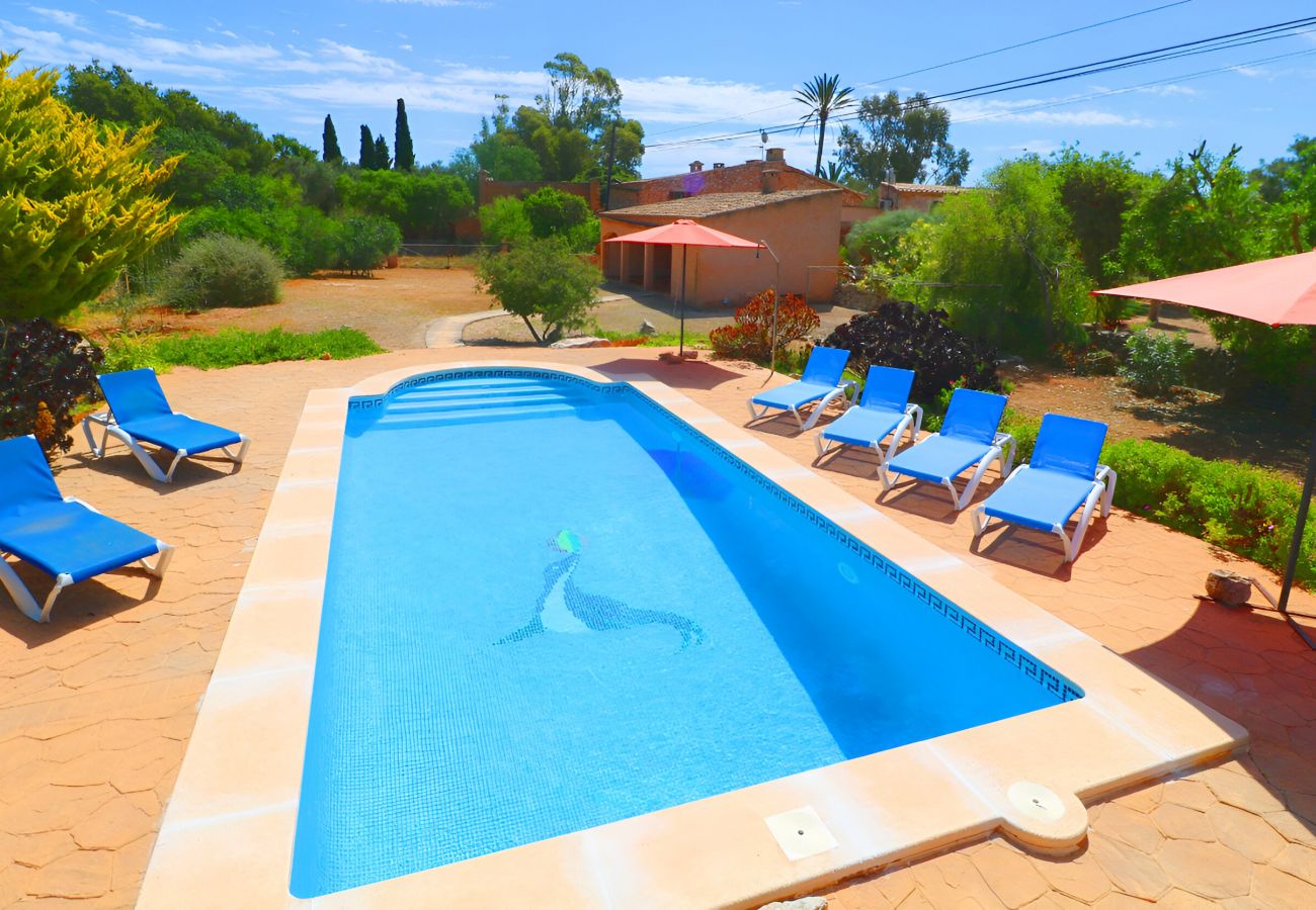 Finca rodeada de naturaleza, con piscina en Mallorca Finca rodeada de naturaleza, con piscina en Mallorca