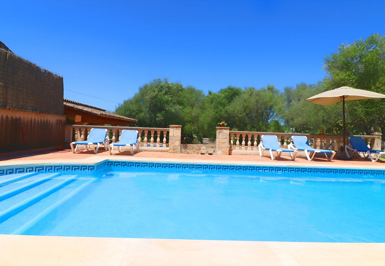 Piscina grande, jardín, terraza, Finca Piscina grande, jardín, terraza, Finca