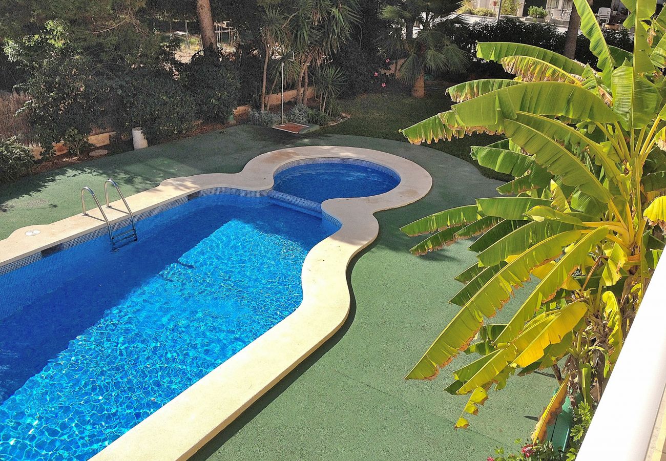 Apartamento en Can Picafort - 092 Apartamento Ca n'Antonia ETVPL/13228 by Mallor Apartamento en Can Picafort - 092 Apartamento Ca n'Antonia ETVPL/13228 by Mallor