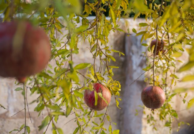 Casa en Sa Pobla - Villa Ca na Marrona - Sunset Villa Campanile Casa en Sa Pobla - Villa Ca na Marrona - Sunset Villa Campanile