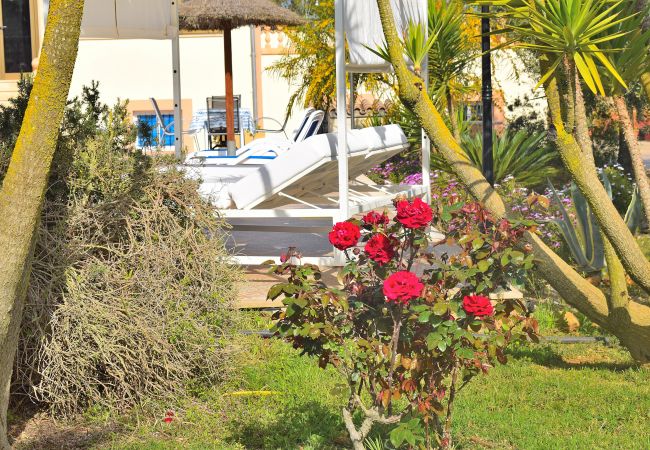 Finca en Ariany - 253 Finca Calderitx ETV/3113 by Mallorca Charme Finca en Ariany - 253 Finca Calderitx ETV/3113 by Mallorca Charme