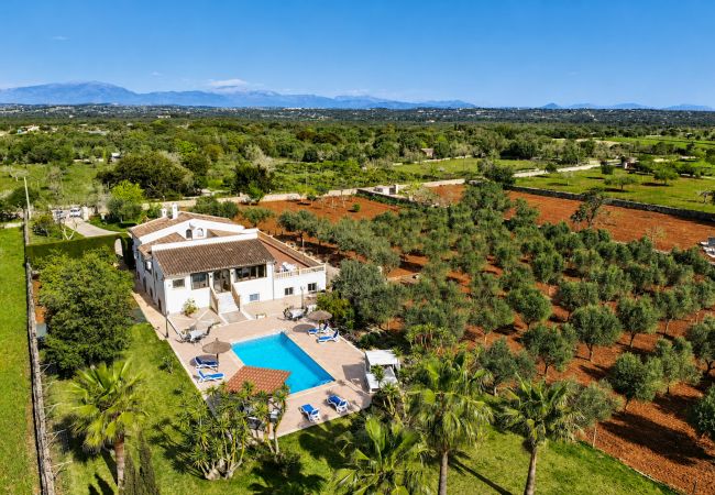 en Ariany - 253 Finca Calderitx ETV/3113 by Mallorca Charme