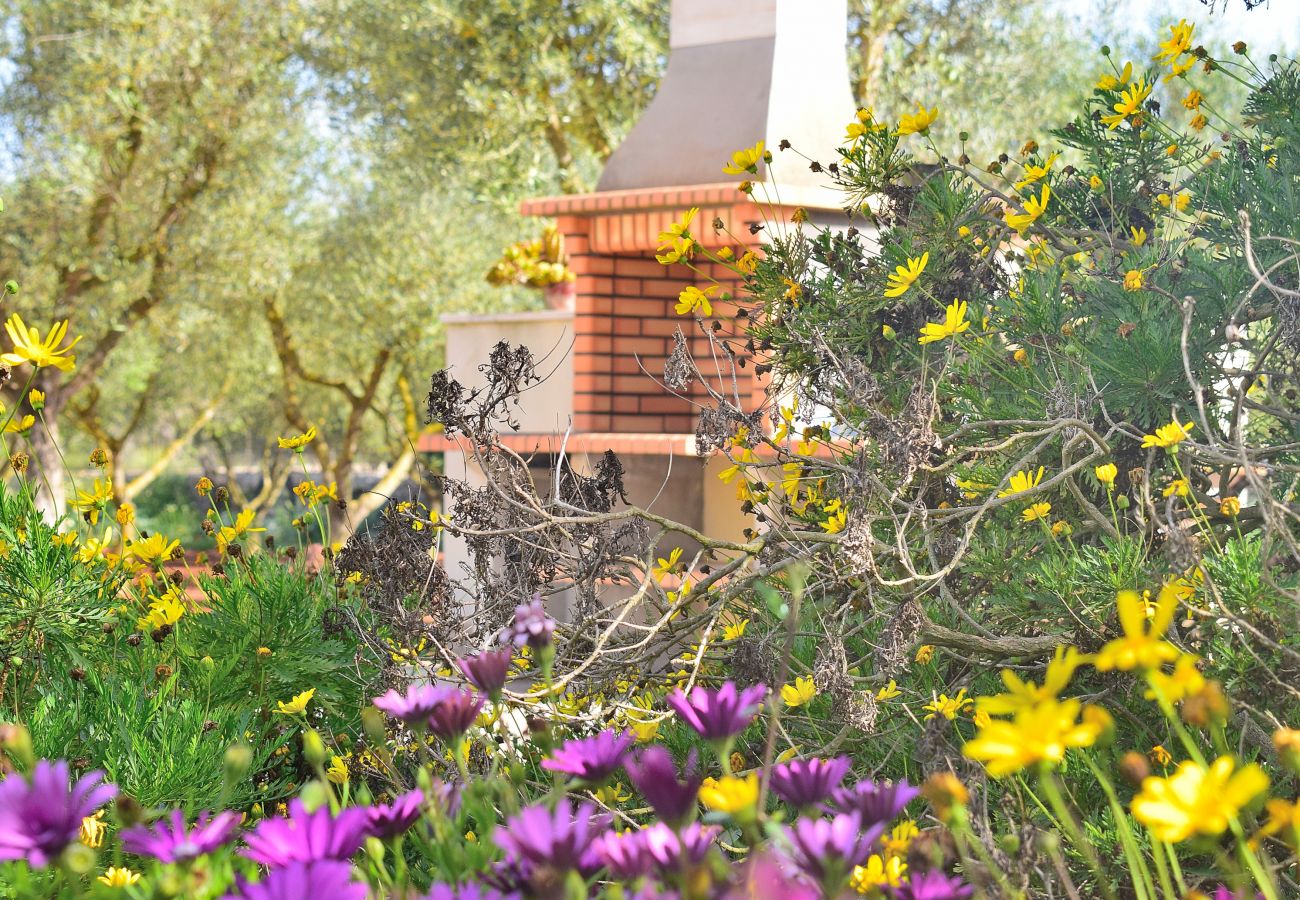 Finca en Ariany - 253 Finca Calderitx ETV/3113 by Mallorca Charme Finca en Ariany - 253 Finca Calderitx ETV/3113 by Mallorca Charme