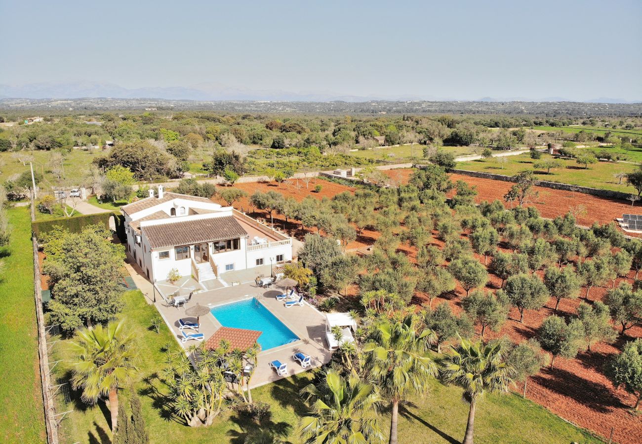 Naturaleza, paz y tranquilidad, relax, piscina Naturaleza, paz y tranquilidad, relax, piscina