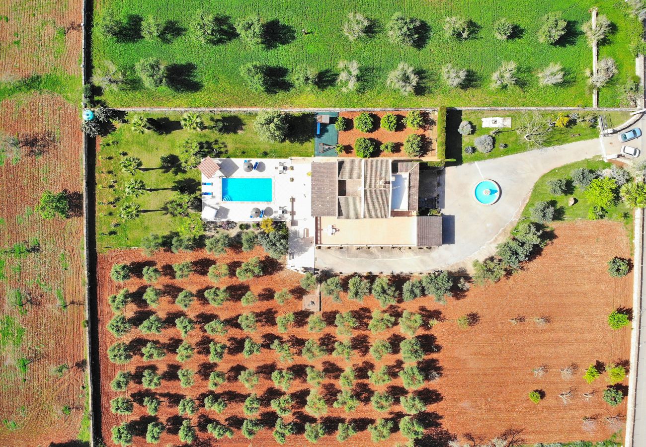 Finca en Ariany - 253 Finca Calderitx ETV/3113 by Mallorca Charme Finca en Ariany - 253 Finca Calderitx ETV/3113 by Mallorca Charme