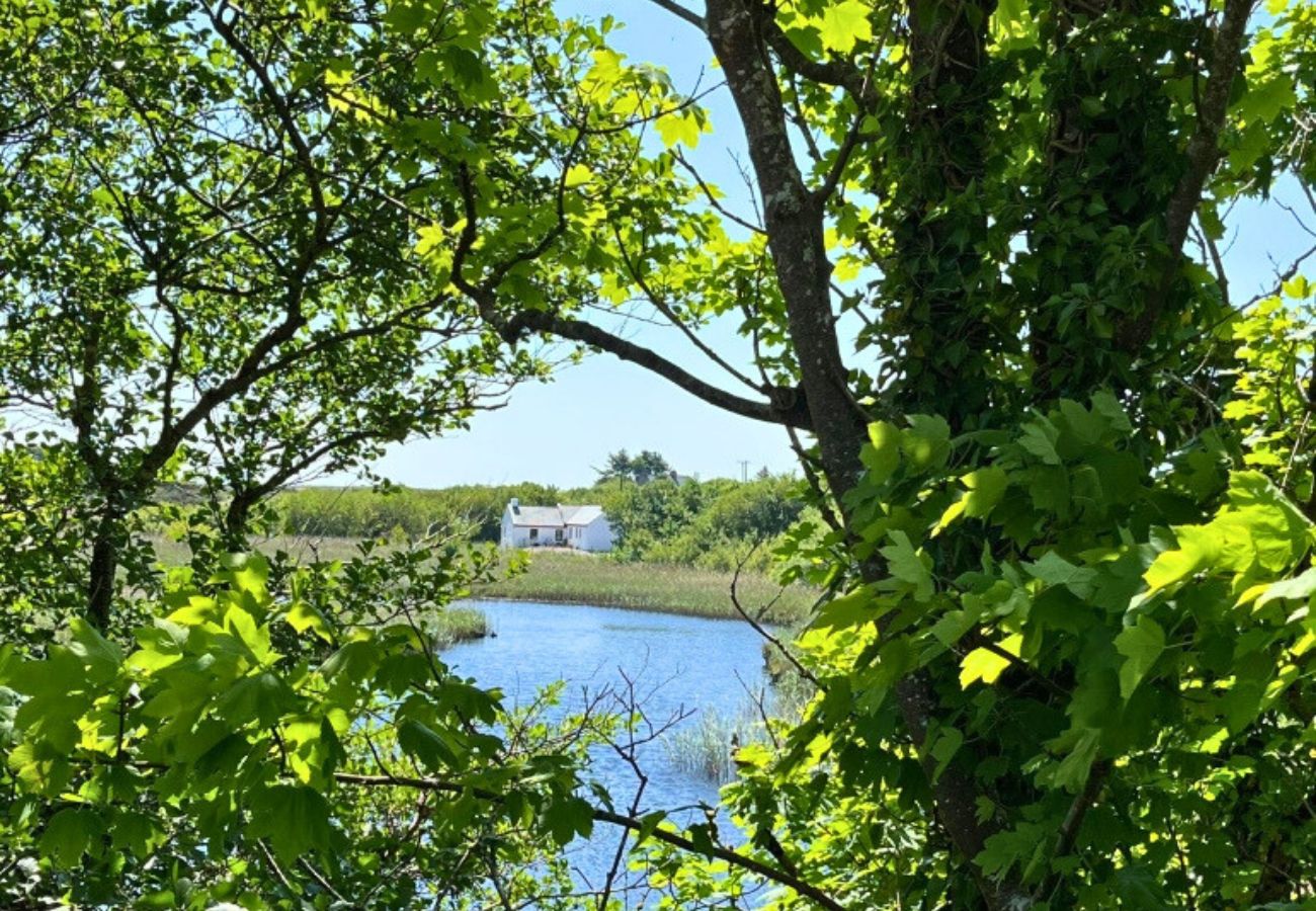 Casa en Clifden - River Cottage