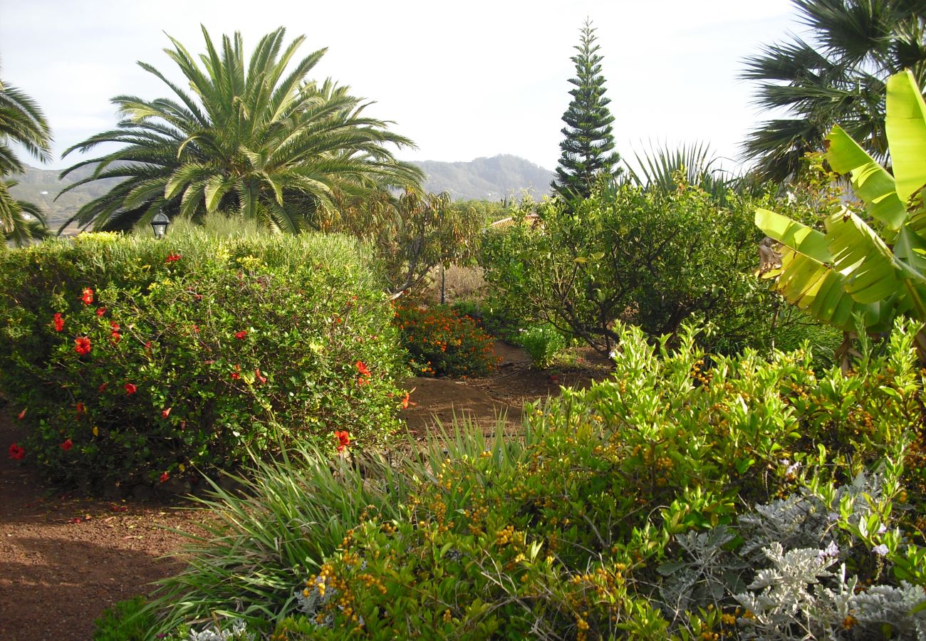 Casa rural en Tegueste - Your Island Finca El Picacho A Casa rural en Tegueste - Your Island Finca El Picacho A