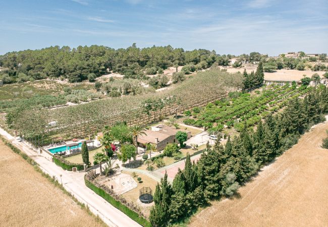 Villa en Llubi - 273 Villa Joy ETV/99 by Mallorca Charme Villa en Llubi - 273 Villa Joy ETV/99 by Mallorca Charme