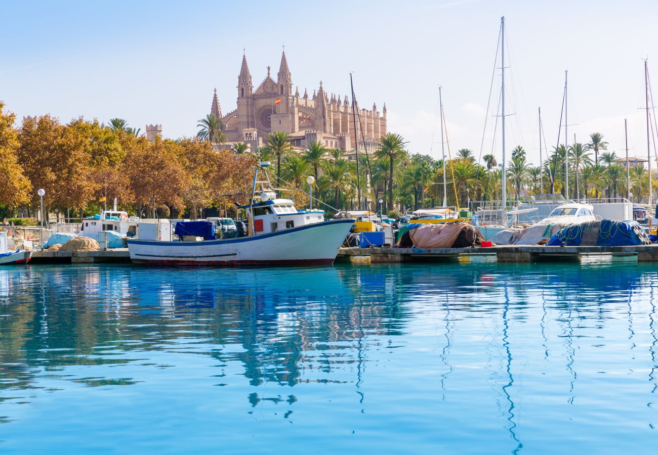 Villa en Llubi - 273 Villa Joy ETV/99 by Mallorca Charme Villa en Llubi - 273 Villa Joy ETV/99 by Mallorca Charme