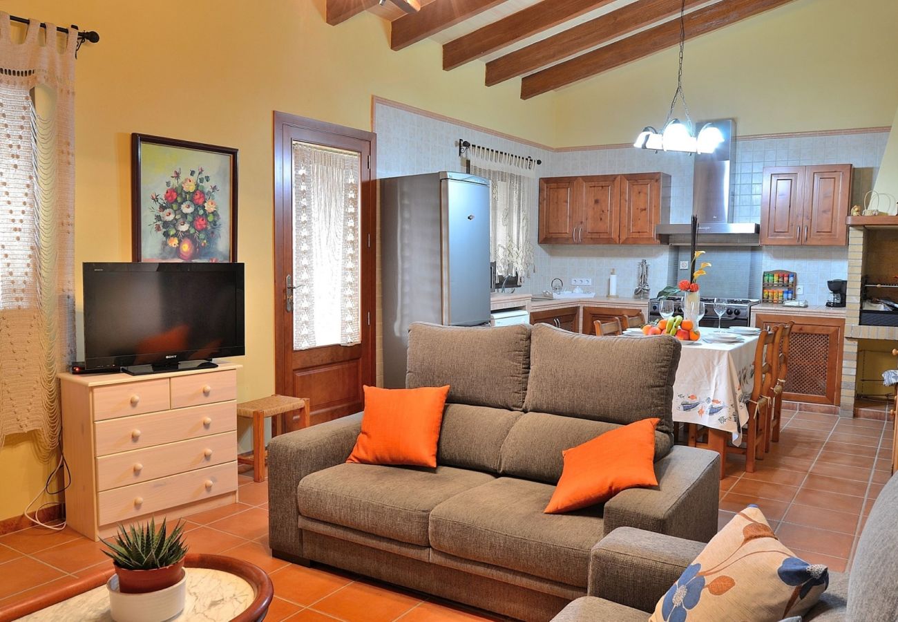 Ab 100€ pro Tag  können Sie Ihre Ferienwohnung auf Mallorca mieten vAb 100€ pro Tag  können Sie Ihre Ferienwohnung auf Mallorca mieten