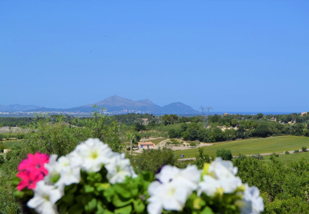 Ab 100€ pro Tag können Sie Ihre Villa auf Mallorca mieten Ab 100€ pro Tag können Sie Ihre Villa auf Mallorca mieten