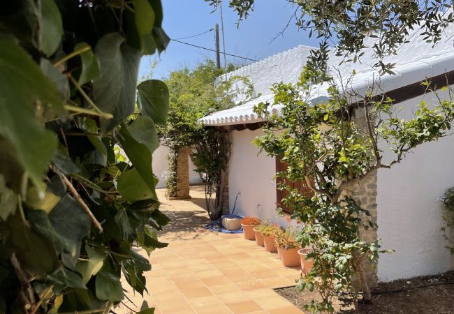 Villa in Calan Porter - Menorca FIFI Villa in Calan Porter - Menorca FIFI