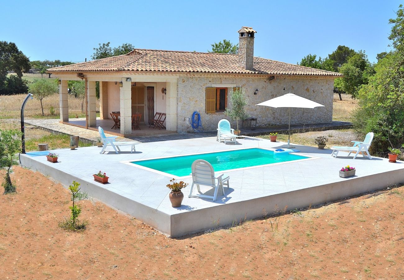 Ab 100€ pro Tag können Sie Ihre Villa auf Mallorca mieten Ab 100€ pro Tag können Sie Ihre Villa auf Mallorca mieten