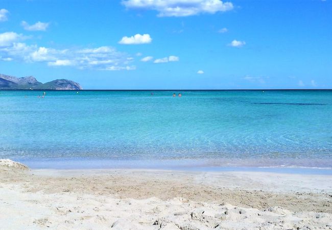 Chalet in Can Picafort - 159 Casa Alba ETV/9785 by Mallorca Charme Chalet in Can Picafort - 159 Casa Alba ETV/9785 by Mallorca Charme