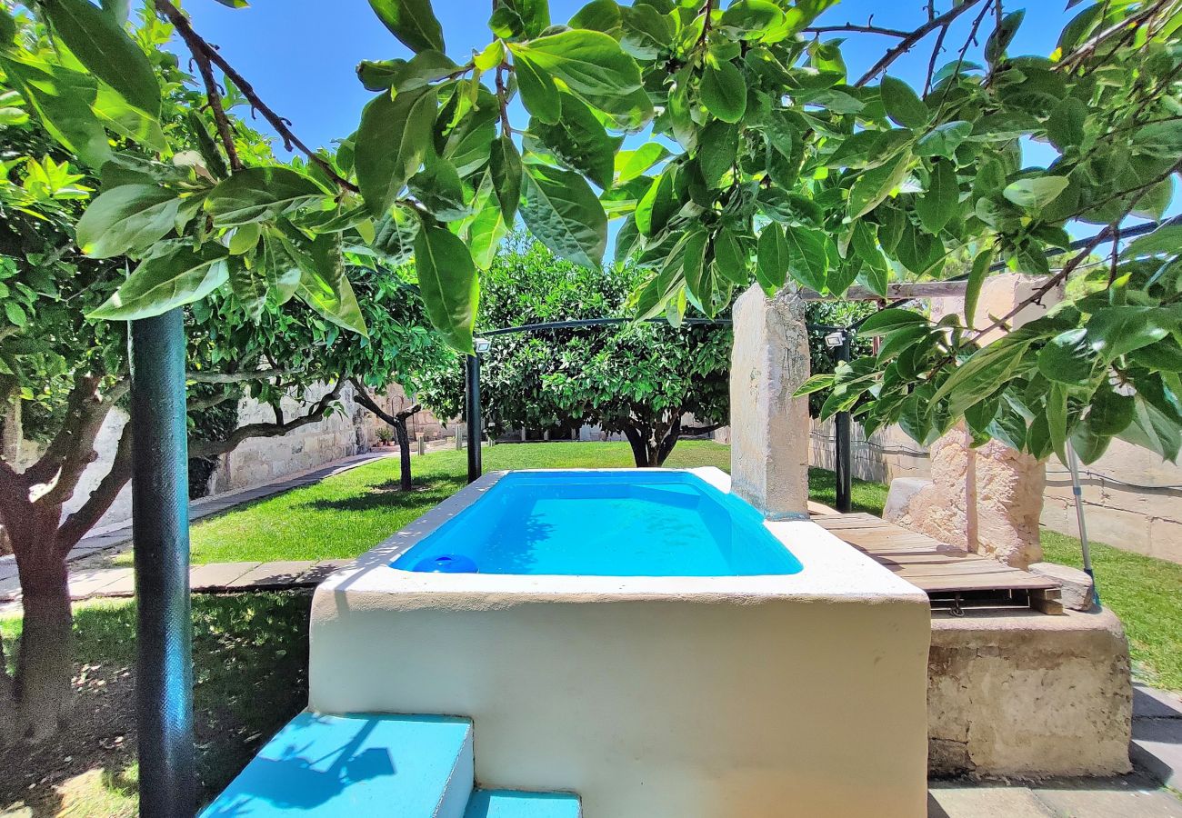 großer Garten mit Schwimmbad und Privatsphäre großer Garten mit Schwimmbad und Privatsphäre