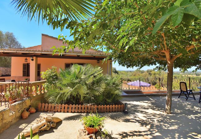 Gemütlicher Garten, Natur, Freiluft, Ferien Gemütlicher Garten, Natur, Freiluft, Ferien