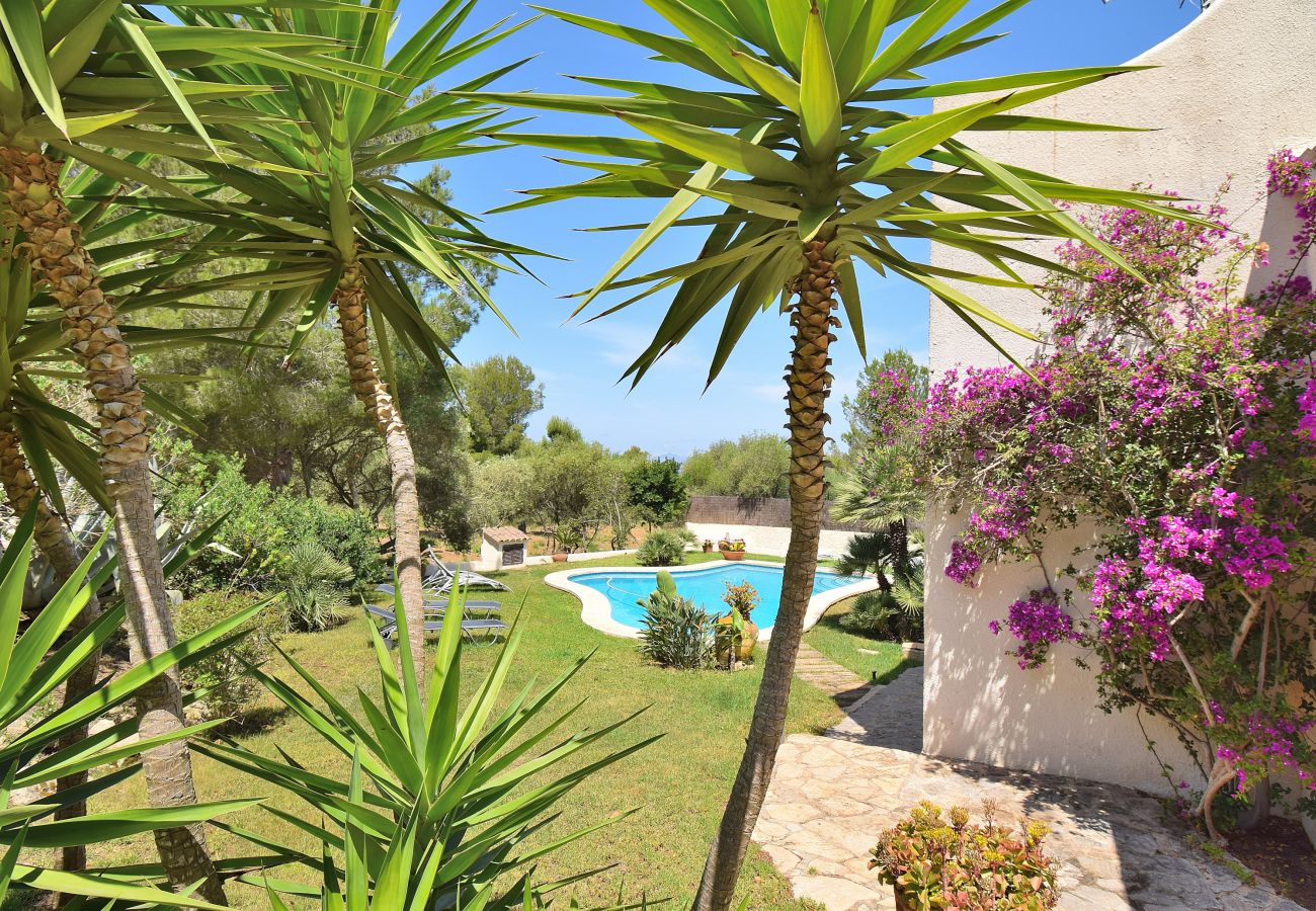 Villa in Arta - 258 Villa Wagner VT/1975 by Mallorca Charme Villa in Arta - 258 Villa Wagner VT/1975 by Mallorca Charme