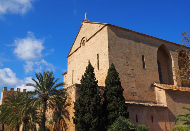 Ferienwohnung in Alcudia - Sunset 1 Room Apartment Carlos V Ferienwohnung in Alcudia - Sunset 1 Room Apartment Carlos V