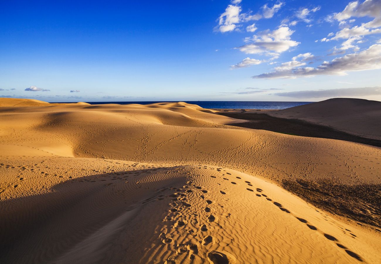 Ferienwohnung in San Bartolomé de Tirajana - BARBADOS Ferienwohnung in San Bartolomé de Tirajana - BARBADOS