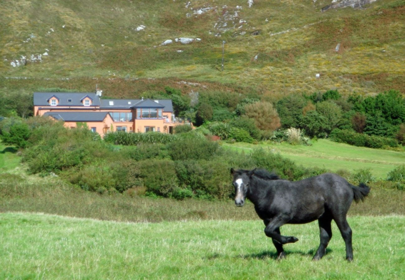 Ferienhaus in Clifden - Dolphin Beach House