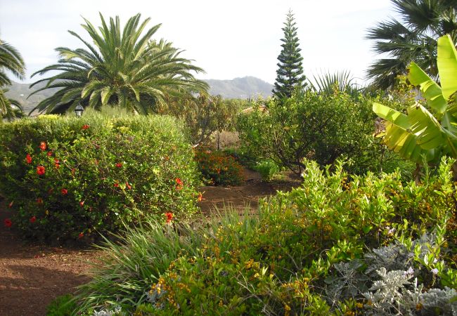 Landhaus in Tegueste - Your Island Finca El Picacho B Landhaus in Tegueste - Your Island Finca El Picacho B