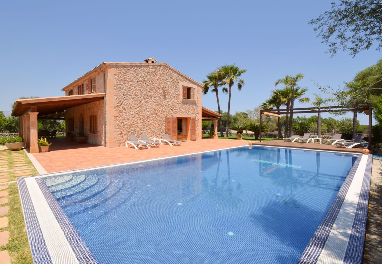 Photo of the pool with deckchairs swimming pool, holidays, peace and quiet, summer