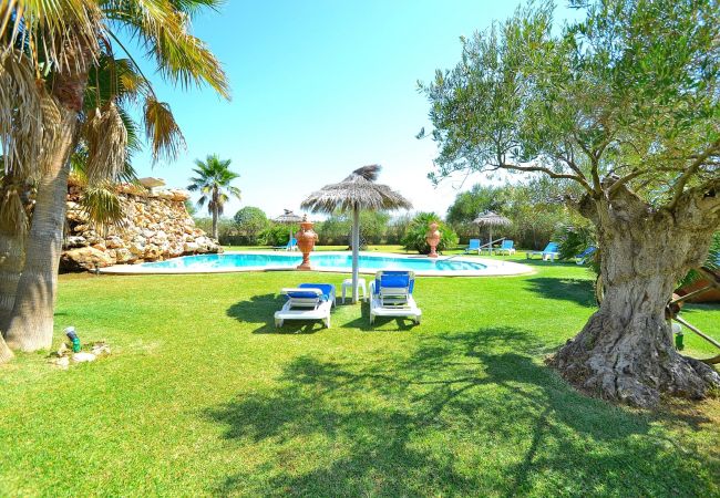 The luxurious Finca is located in can pica fort and muro The luxurious Finca is located in Can Picafort-Mallorca and it has a swimming pool