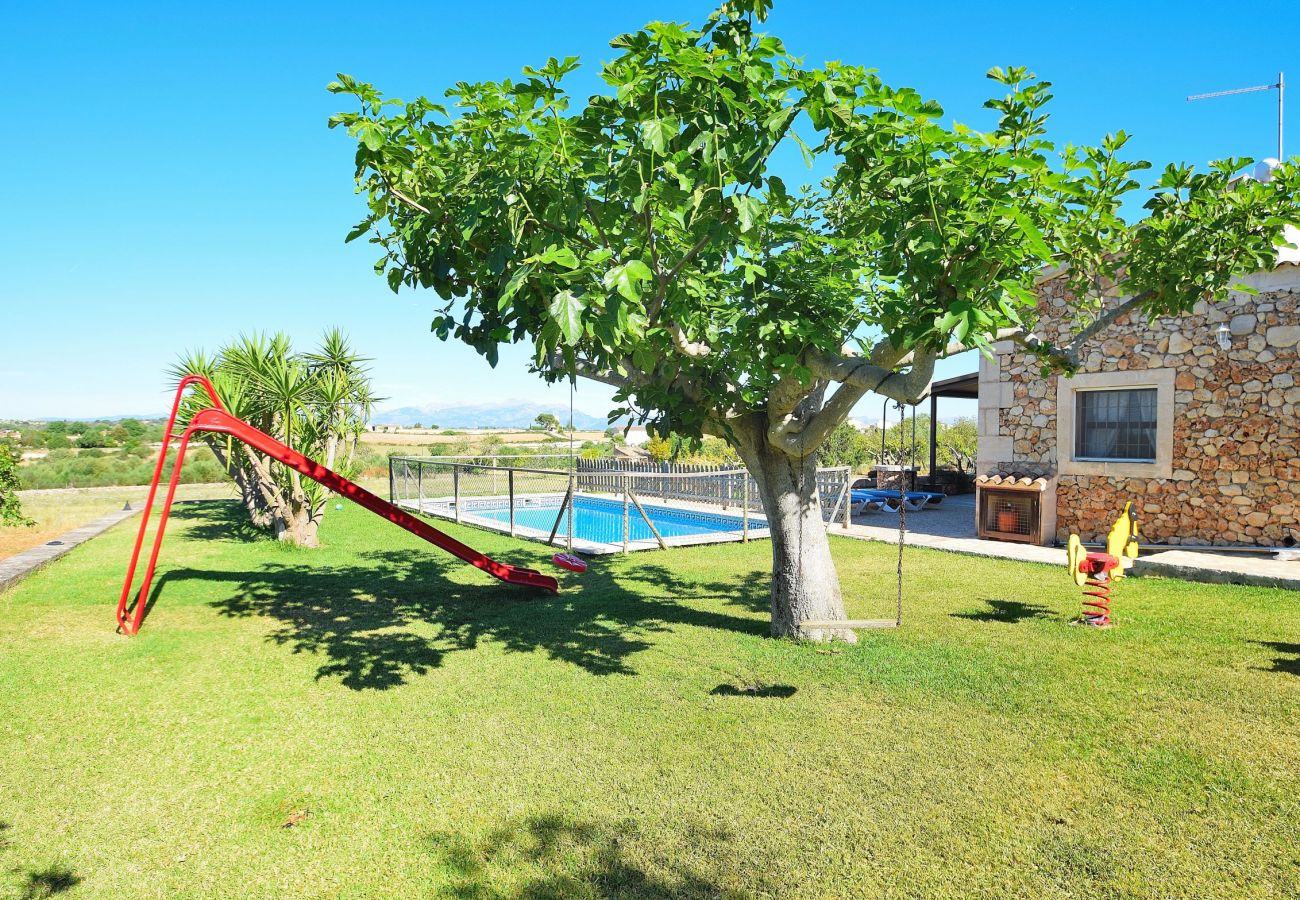 holidays, nature, swimming pool, kids holidays, nature, swimming pool, kids
