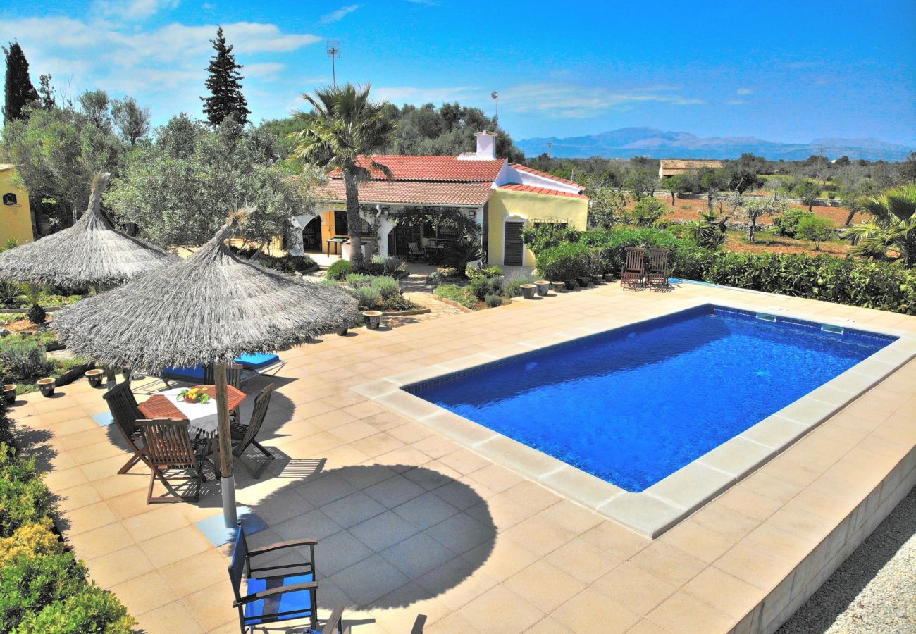 holiday finca, swimming pool, nature, Mallorca, holidays holiday finca, swimming pool, nature, Mallorca, holidays