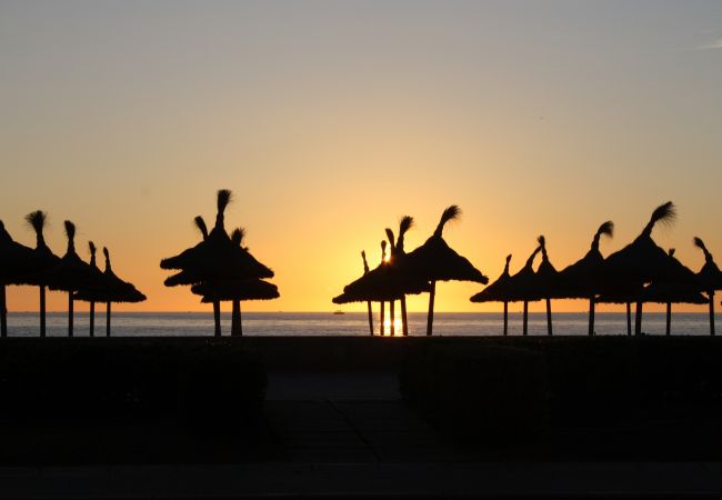 Villa in Campanet - 102 Finca Caselles de Baix ETV/392 by Mallorca Cha Villa in Campanet - 102 Finca Caselles de Baix ETV/392 by Mallorca Cha