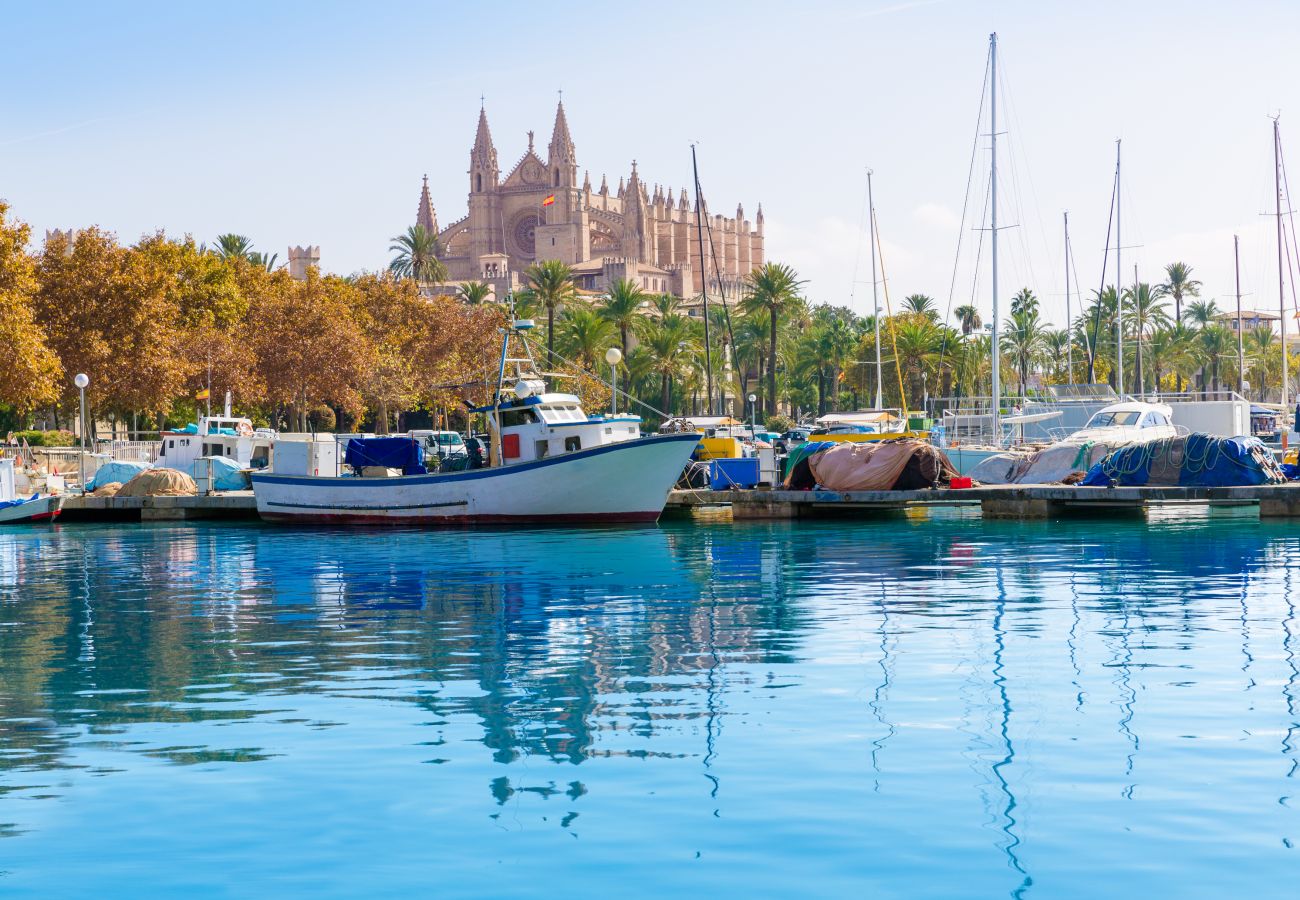 Villa in Campanet - 102 Finca Caselles de Baix ETV/392 by Mallorca Cha Villa in Campanet - 102 Finca Caselles de Baix ETV/392 by Mallorca Cha