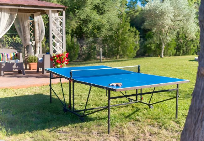 Country house in Alcudia - 113 Finca Can Roig ETV/955 by Mallorca Charme Country house in Alcudia - 113 Finca Can Roig ETV/955 by Mallorca Charme