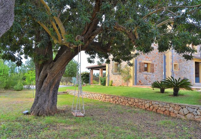 From 100 € per day you can rent your villa in Mallorca From 100 € per day you can rent your villa in Mallorca