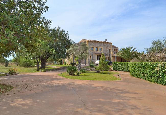 From 100 € per day you can rent your villa in Mallorca From 100 € per day you can rent your villa in Mallorca