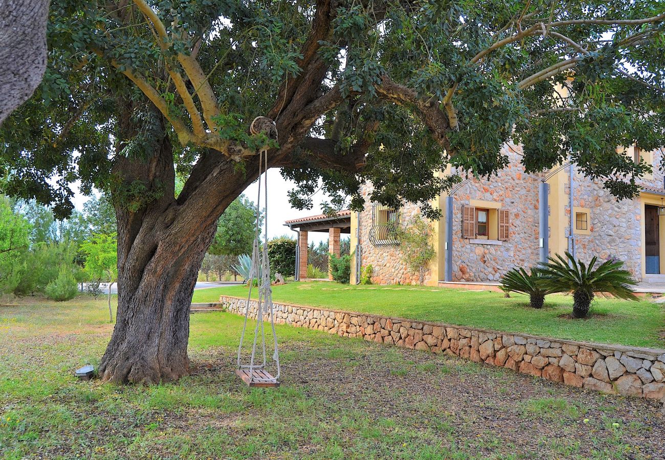 From 100 € per day you can rent your villa in Mallorca From 100 € per day you can rent your villa in Mallorca