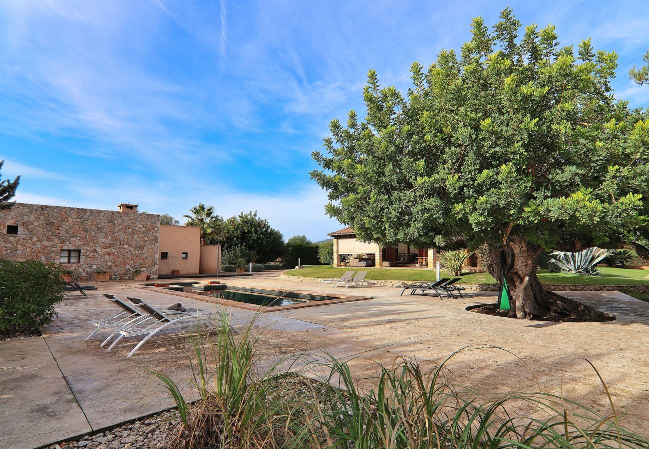 Country house in Binissalem - 151 Villa Es Triquet ET/3366 by Mallorca Charme Country house in Binissalem - 151 Villa Es Triquet ET/3366 by Mallorca Charme