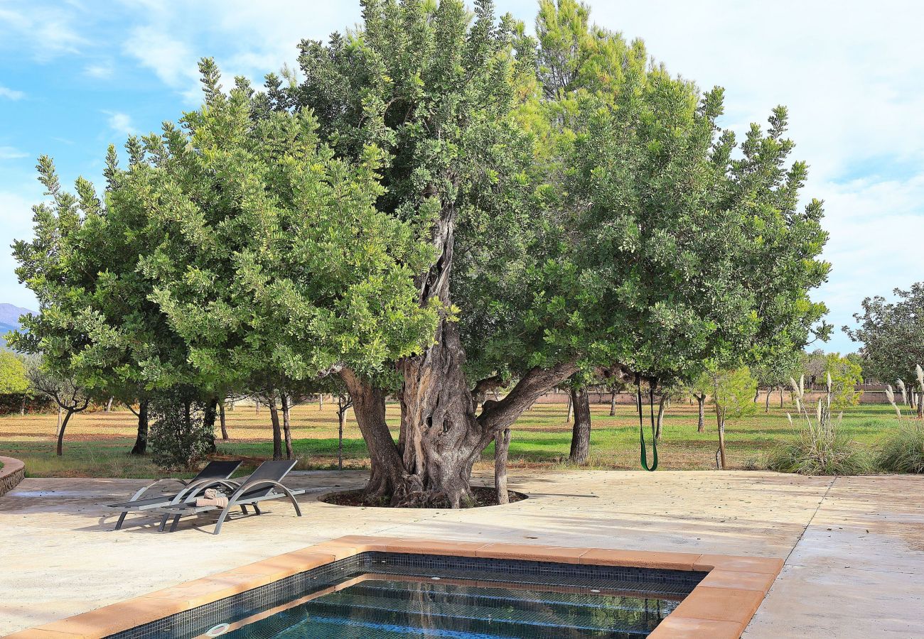Country house in Binissalem - 151 Villa Es Triquet ET/3366 by Mallorca Charme Country house in Binissalem - 151 Villa Es Triquet ET/3366 by Mallorca Charme