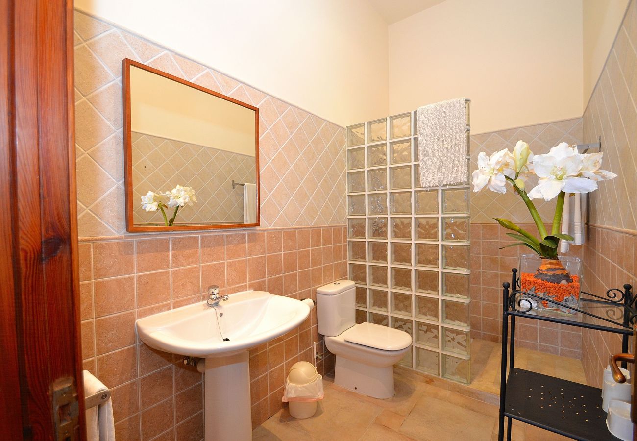 From 100 € per day you can rent your villa in Mallorca From 100 € per day you can rent your villa in Mallorca