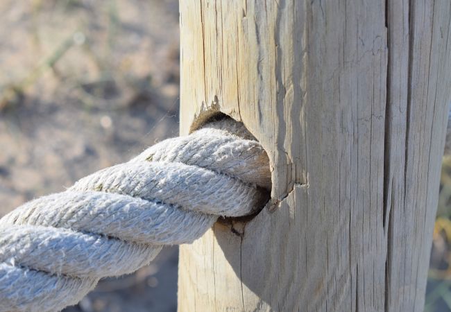 House in Alcudia - 206 Villa Isabel ET/2341 by Mallorca Charme House in Alcudia - 206 Villa Isabel ET/2341 by Mallorca Charme