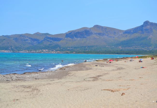 House in Petra - 229 Casa Es Forn ETV/10429 by Mallorca Charme House in Petra - 229 Casa Es Forn ETV/10429 by Mallorca Charme