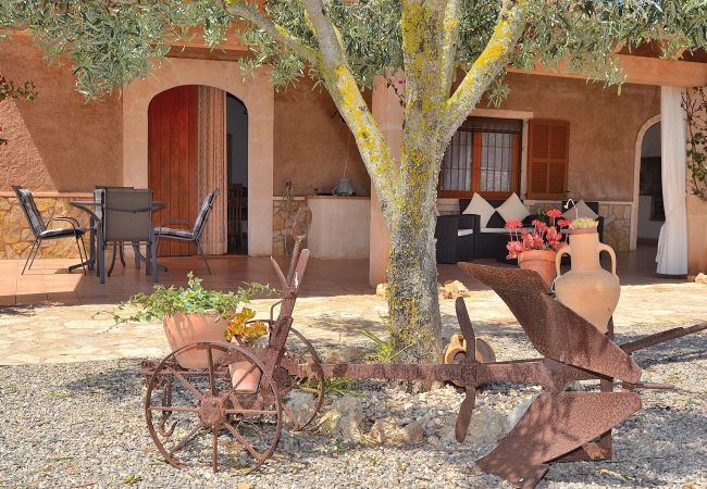 Country house in Santa Margalida - 230 Finca Sa Caseta de Son Morro ETV/5986 by Mallo Country house in Santa Margalida - 230 Finca Sa Caseta de Son Morro ETV/5986 by Mallo