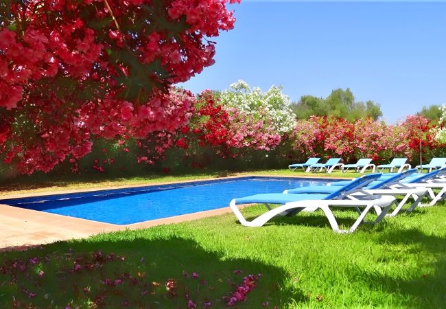 Country house in Felanitx - 402 Finca Son Mas ETV384 by Mallorca Charme Country house in Felanitx - 402 Finca Son Mas ETV384 by Mallorca Charme