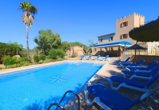 Peace, privacy, swimming pool, holidays Peace, privacy, swimming pool, holidays