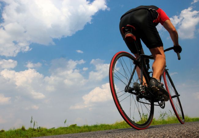 Country house in Es Llombards - 413 Finca Can Cova, ETV1361 by Mallorca Charme Country house in Es Llombards - 413 Finca Can Cova, ETV1361 by Mallorca Charme