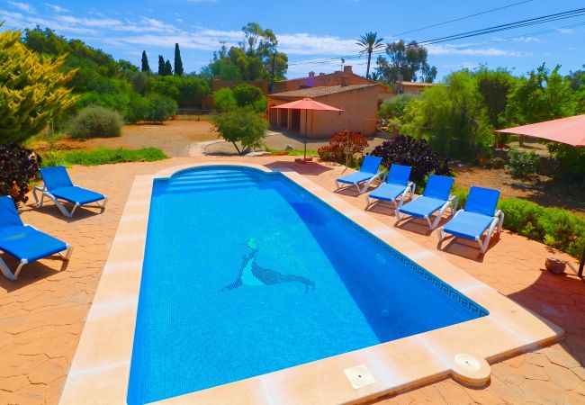 Country house in Es Llombards - 413 Finca Can Cova, ETV1361 by Mallorca Charme